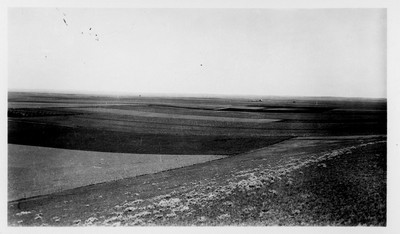 Strip Farming