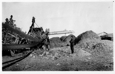 Thresher