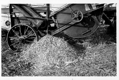 Thresher