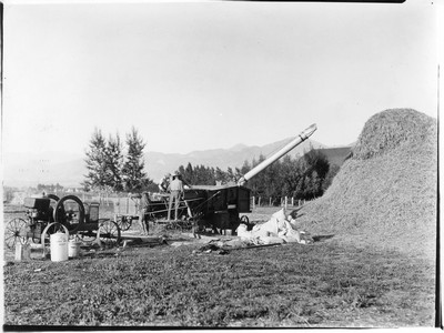 Grain - Threshing