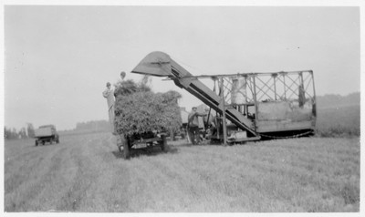 Threshing Scenes