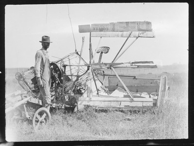 Threshing Scenes