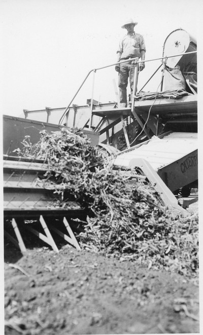 Threshing Scenes
