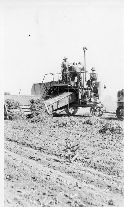 Threshing Scenes