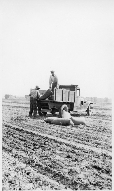 Threshing Scenes