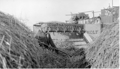Threshing Scenes