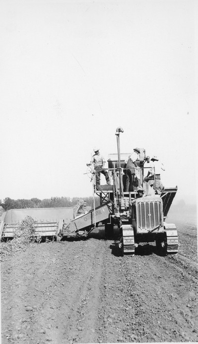 Threshing Scenes