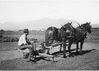 Tillage Implements