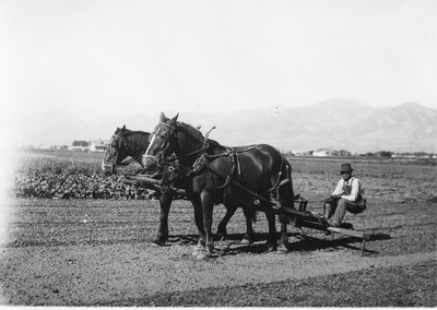 Tillage Implements