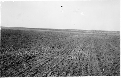 Cropland