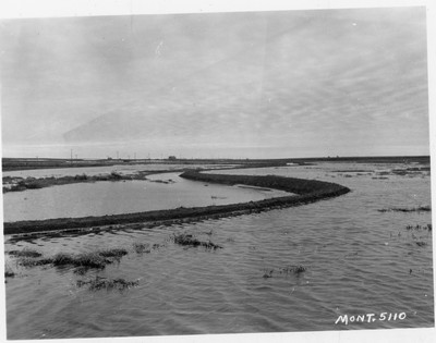 Irrigation Canal