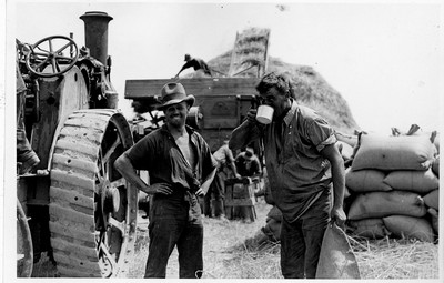 Wheat - Threshing