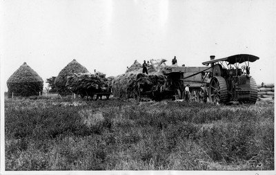 Wheat - Threshing