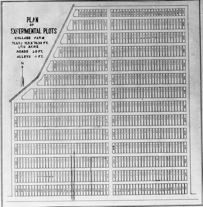 Plans