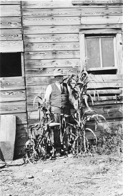 Corn