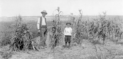 Corn