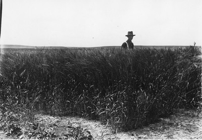 Dry Land Farming