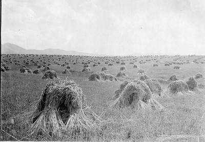 Dry Land Farming