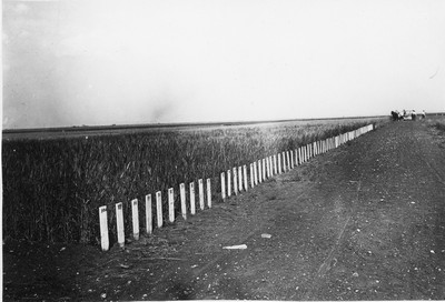 Experiment Station