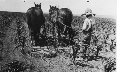 Farm Equipment