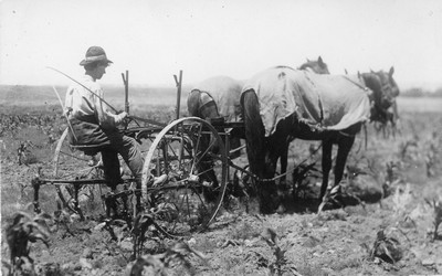 Farming Equipment