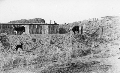 Pit Silo