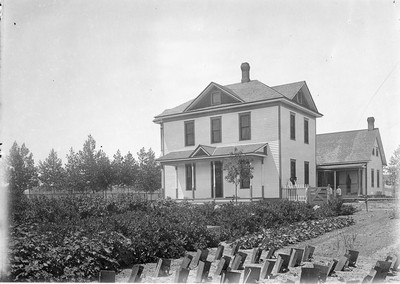 Rural Farmstead