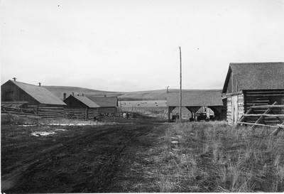 Rural Farmstead