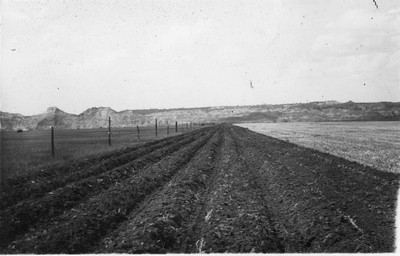 Tillage