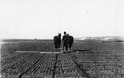 Fields