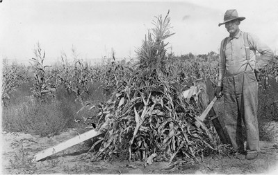 Corn