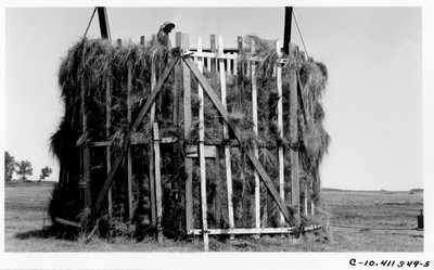 Hay Stacker