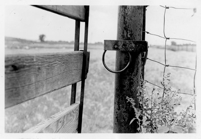 Farm Gate