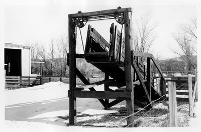 Livestock Chute