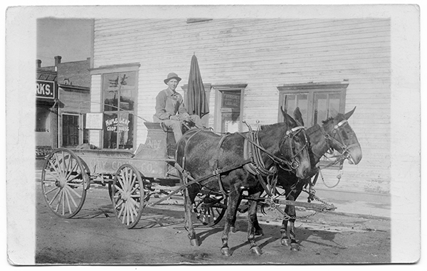 Man on Wagon Pulled by Two Mules, Anaconda, Montana