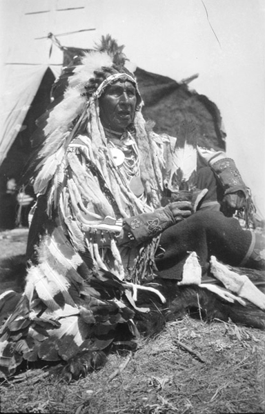 White Man Runs Him, Crow Warrior, Crow Agency, Montana