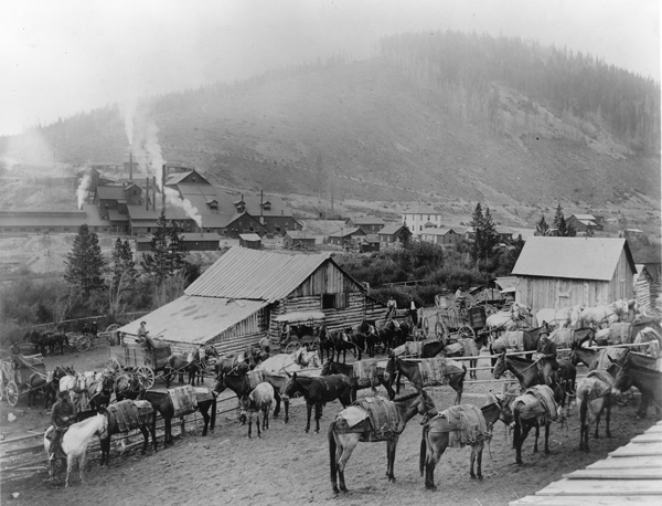 Pack Train in Corral, Pony, Montana