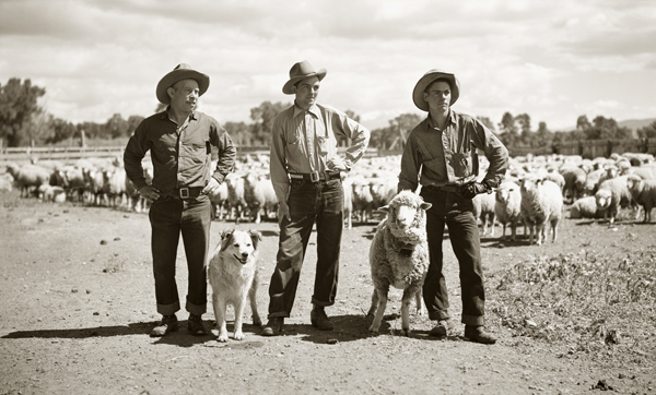 Three Sheepmen, Harvat Ranch, Livingston, Montana