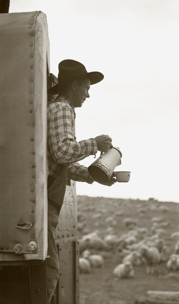 Carl Jarrett watching the flock, Harvat Ranch, Livingston, Montana