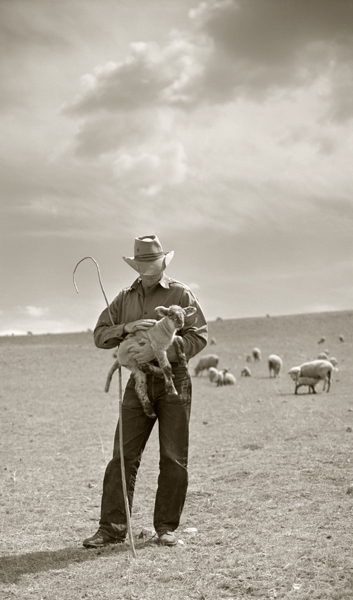 Norris Spangler and Lamb, Harvat Flats, Near Livingston, Montana
