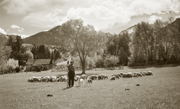 Lambing Camp, Pine Creek Cabin, Paradise Valley, Montana