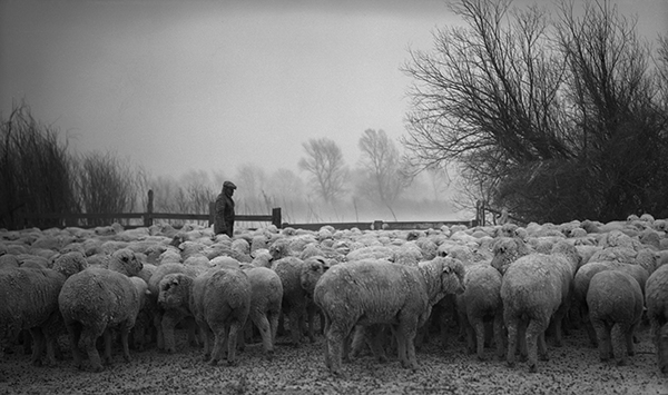 Edwin Harvat in Corral, Harvat Ranch, Livingston, Montana 