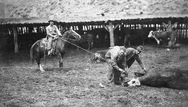 Dick Randall and his Crew on Branding Day, OTO Dude Ranch, Corwin Springs, Montana