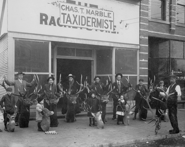 Charles "Buckskin Charley" Marble Taxidermy, Bozeman, Montana