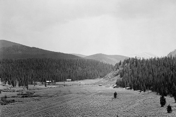 Gallation National Forest in Background, Gallatin Canyon, Montana
