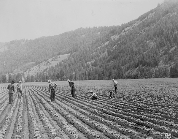Eddie and Isabelle Durnam, Durnam Lettuce Fields, Gallatin Canyon, Montana