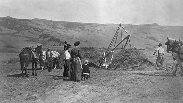 Hay Harvest, Stacking Hay, Unknown Location, Montana