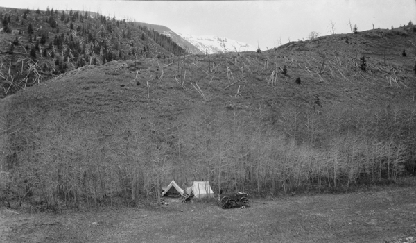 Camp on Meyers Creek, Bad Canyon, Sweet Grass County, Montana