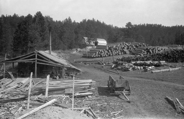 Bidwell Sawmill on Green Creek Near Broadus, Montana