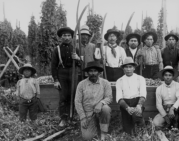 Hop Pickers, Swinomish Reseration, Washington
